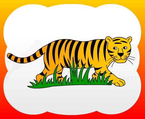 503x415 How To Draw Tiger For Kids - Tiger Drawing For Kids