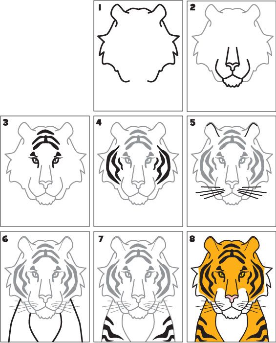 565x701 How To Draw A Tiger Learn To Draw - Tiger Drawing For Kids