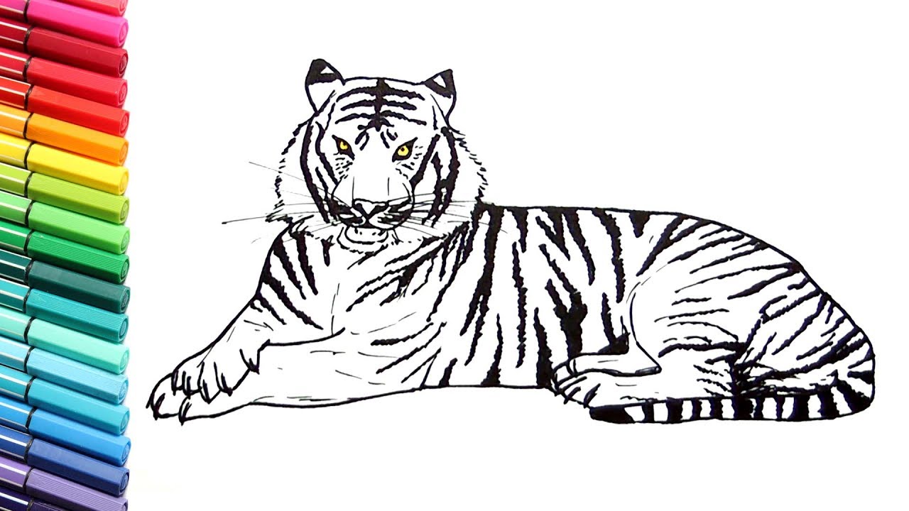 1280x720 Drawing And Coloring A Tiger - Tiger Drawing For Kids