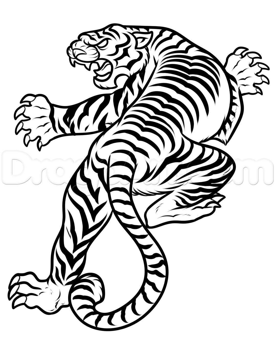 1075x1351 How To Draw A Japanese Tiger Tattoo, Step - Tiger Drawing Images