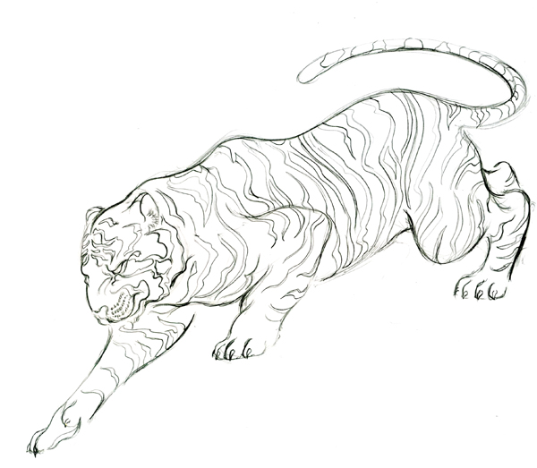 600x523 Tiger Drawing - Tiger Drawing Images