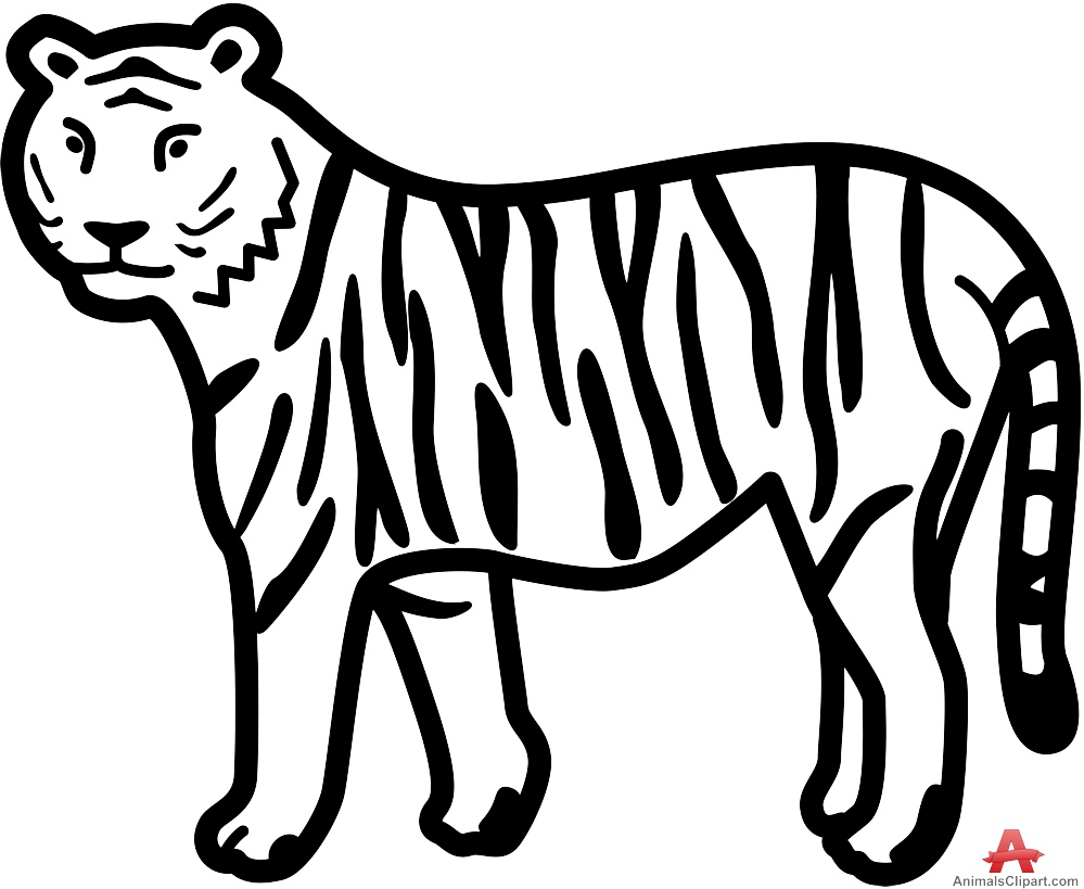 999x819 Tiger Drawing Clipart Clipartfest - Tiger Drawing Images