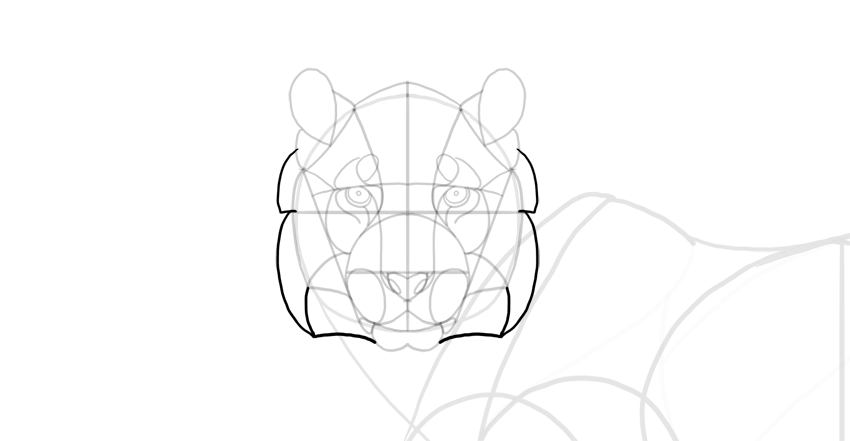 850x441 How To Draw A Tiger - Tiger Drawing Outline