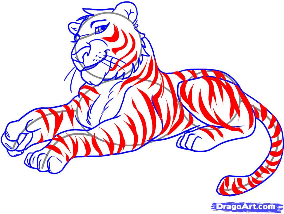 924x697 How To Draw A Tiger, Step - Tiger Drawing Pictures