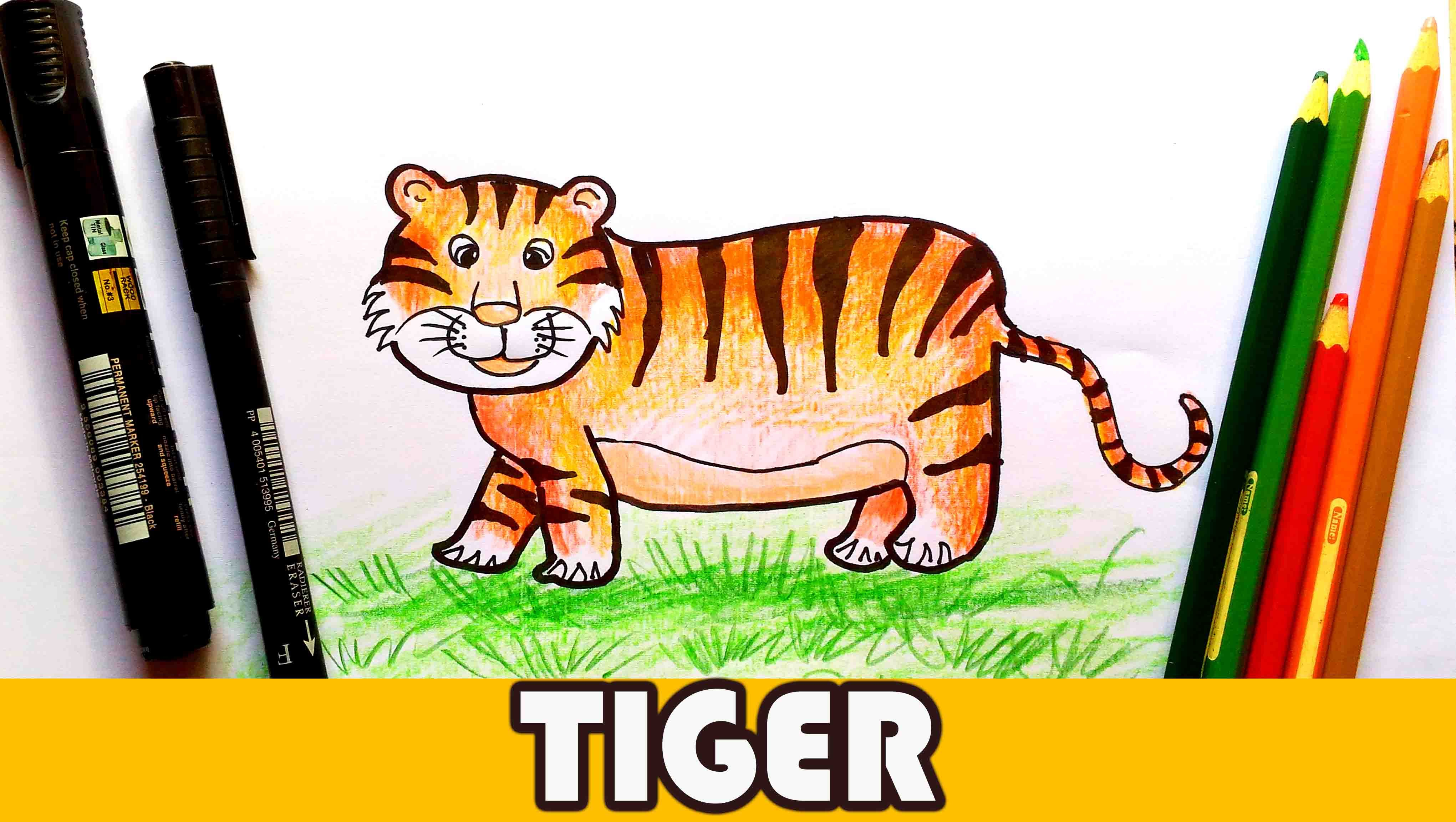 4082x2304 largest drawings of tigers for kids tiger drawing how to draw - Tiger Drawing Pictures
