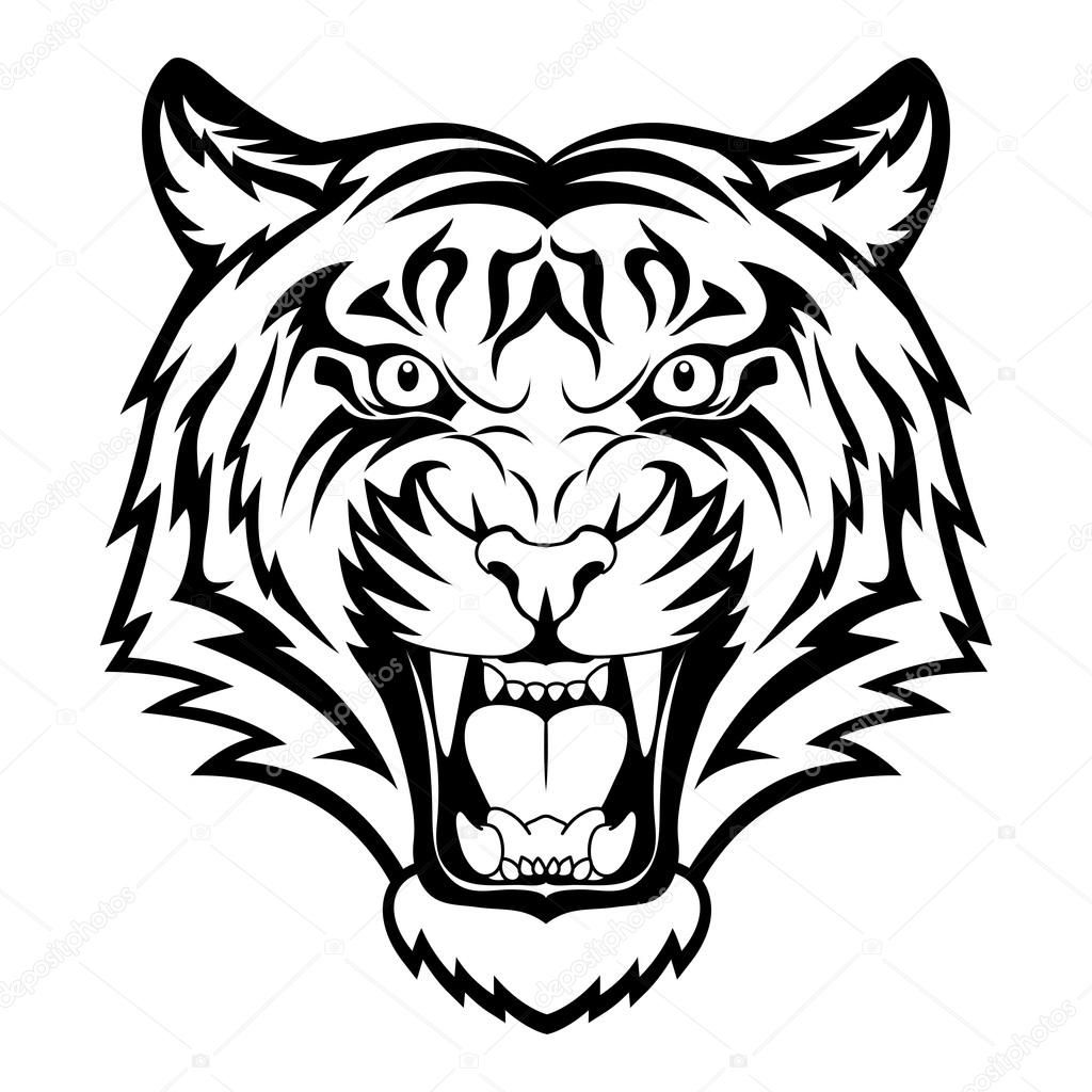 1024x1024 roaring tiger head drawing tiger face - Tiger Drawing Pictures