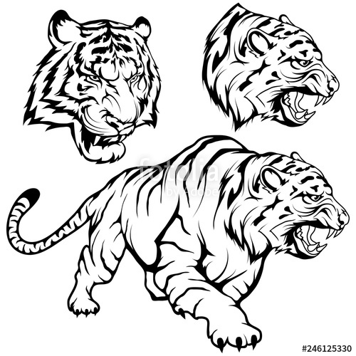 500x500 Tiger Set Suitable As Logo Or Team Mascot, Tiger Drawing Sketch - Tiger Drawing Pictures