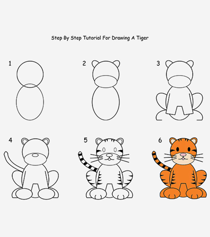 720x810 How To Draw A Tiger Step - Tiger Drawing Step By Step