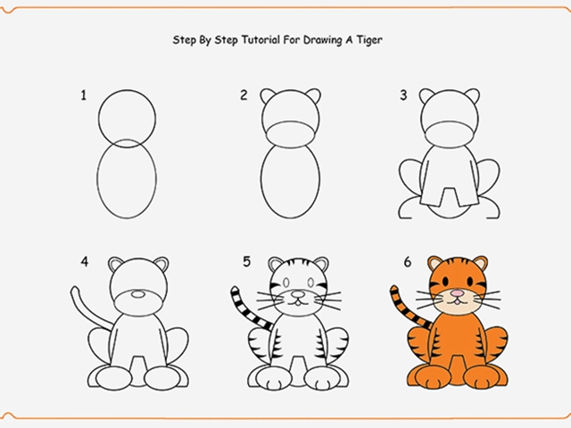 640x480 How To Draw Easy Animals Step - Tiger Drawing Step By Step