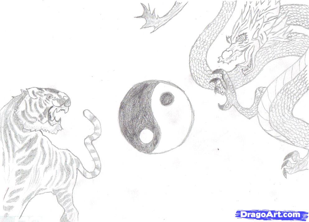 993x712 How To Draw Tiger And Dragon, Step - Tiger Drawing Step By Step
