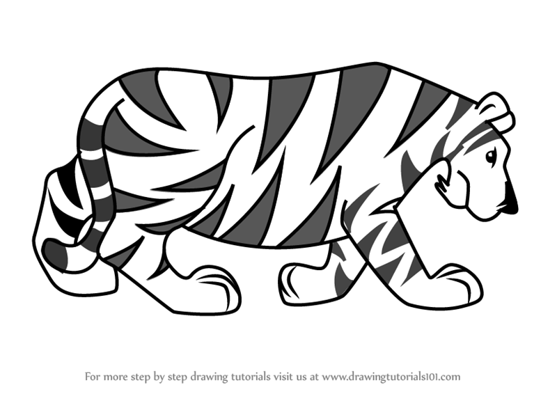 800x566 Learn How To Draw A Tiger Tattoo - Tiger Drawing Tattoo