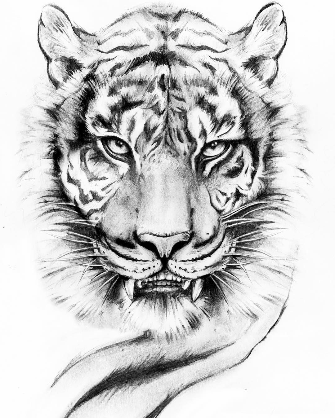 1080x1349 Pin - Tiger Drawing Tattoo