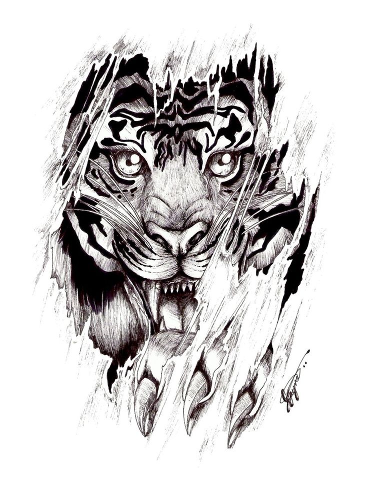736x958 Ripped Skin Tiger Tattoo Design Idea - Tiger Drawing Tattoo