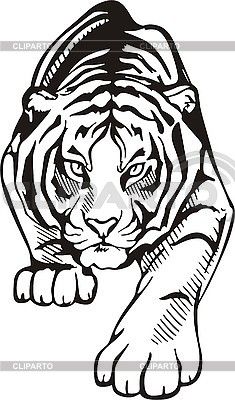 235x400 tribal tiger tattoo designs draw a tiger tattoo design, tiger - Tiger Drawing Tattoo