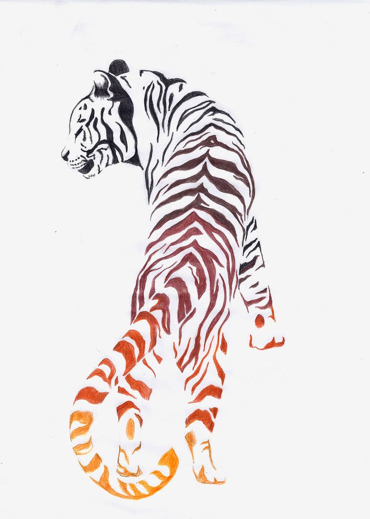 736x1030 Asian Tiger Tattoo Design Sample - Tiger Drawing Tattoo