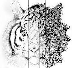 231x219 Image Result For Easy Black And White Drawings Tumblr Black - Tiger Drawing Tumblr