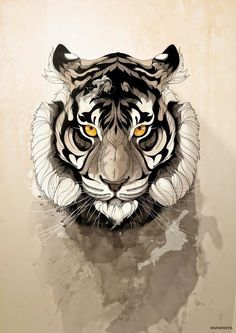 236x333 Tumblr Art Tiger Art, Tiger Illustration - Tiger Drawing Tumblr