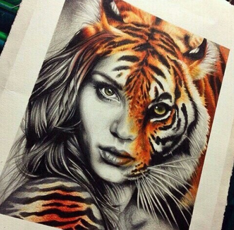 480x472 Art Via Tumblr Shared - Tiger Drawing Tumblr