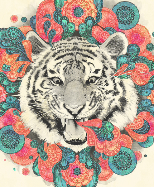 494x600 Drawing Via Tumblr Shared - Tiger Drawing Tumblr