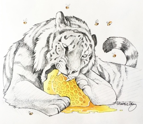 540x470 Tiger Art Tumblr - Tiger Drawing Tumblr