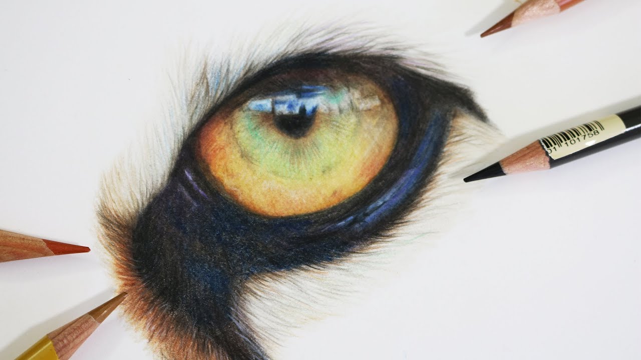 1280x720 How To Draw A Realistic Tiger Eye Coloured Pencil Drawing - Tiger Eye Drawing