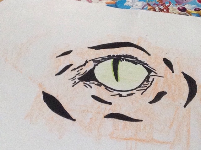 640x478 How To Draw A Tiger Eye - Tiger Eye Drawing