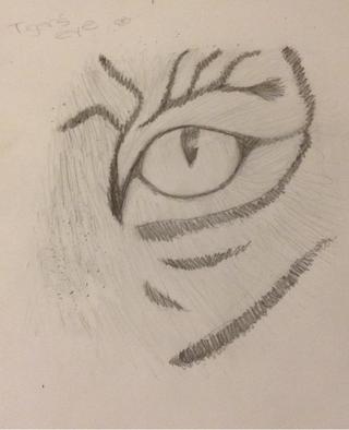 320x394 my tigers eye! sorry no nose! - Tiger Eye Drawing