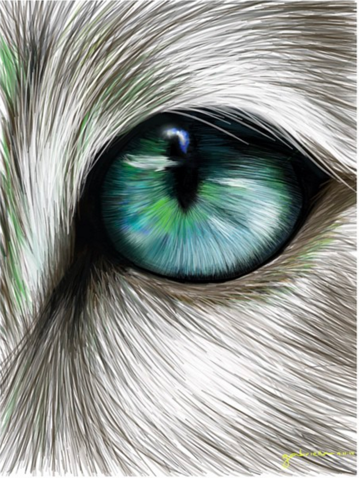 1200x1596 Tiger Eye Digital Drawing On Ipad On Behance - Tiger Eye Drawing