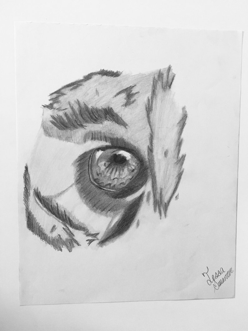 794x1059 Tiger Eye Drawing Etsy - Tiger Eye Drawing