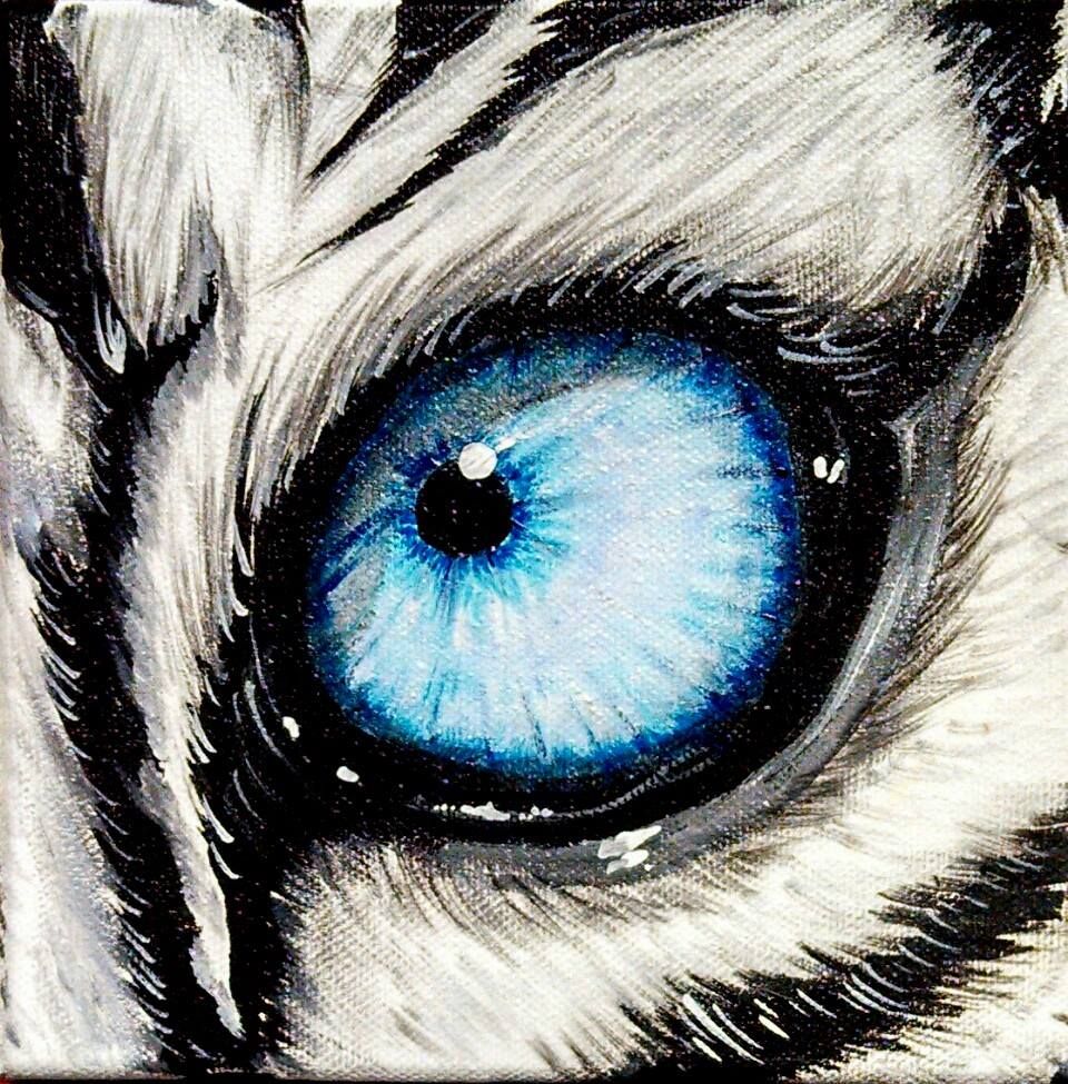 960x975 White Tiger Eye Six Sl Fine Arts Artdrawing - Tiger Eye Drawing
