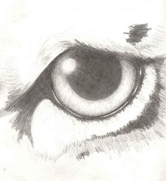 236x256 Drawn Tiger Eye - Tiger Eye Drawing