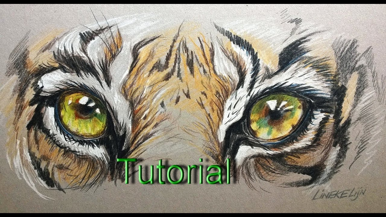 1280x720 Easy Tiger Eye For Beginners - Tiger Eye Drawing