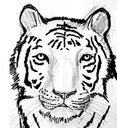 401x438 How To Draw A Tiger Face - Tiger Face Drawing