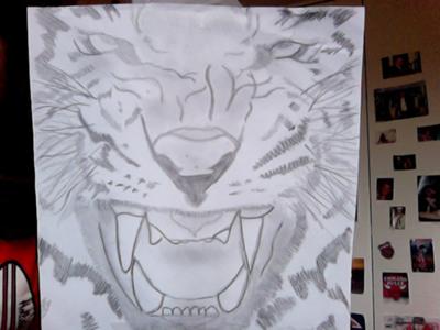 400x300 My First Drawing Of A Tiger Face - Tiger Face Drawing