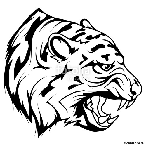 500x500 tiger head vector drawing, tiger face drawing sketch, tiger head - Tiger Face Drawing