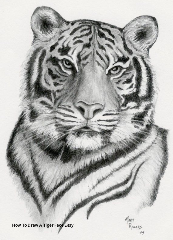 570x792 How To Draw A Tiger Face Easy Best Ideas - Tiger Face Drawing
