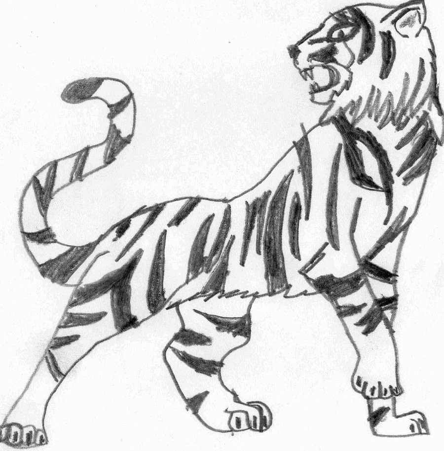 900x914 easy pencil drawings of tiger tiger face drawing pencil - Tiger Face Drawing Pencil