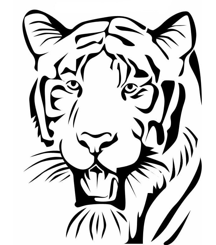 Tiger Face Outline Drawing