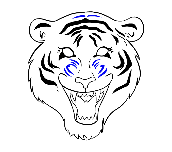 678x600 How To Draw A Tiger Face In A Few Easy Steps Easy Drawing Guides - Tiger Face Outline Drawing