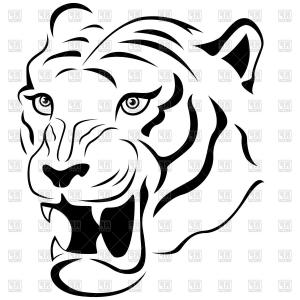 300x300 stock illustration tiger head vector illustration black white - Tiger Face Outline Drawing