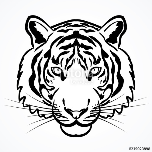 500x500 Tiger Head Outline Illustration Vector Stock Image And Royalty - Tiger Face Outline Drawing