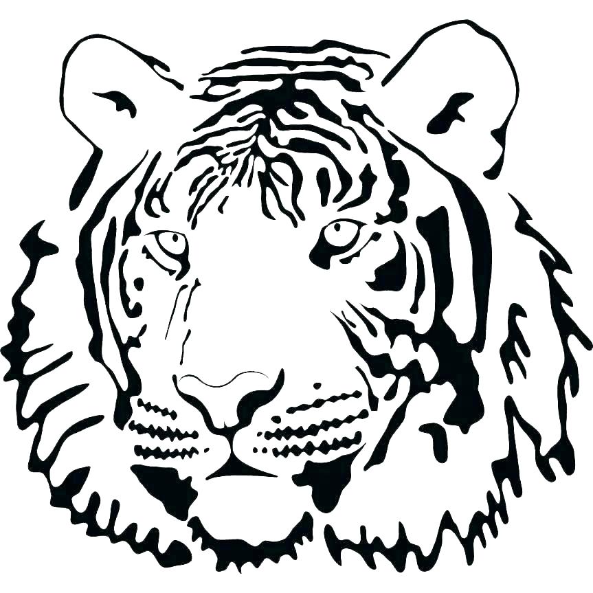 Tiger Face Outline Drawing at PaintingValley.com | Explore collection ...