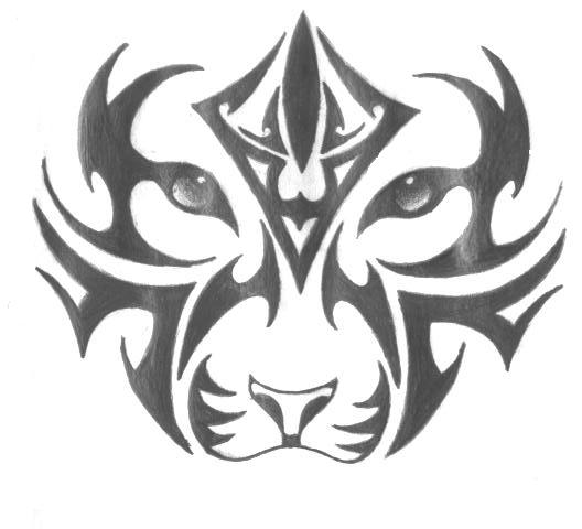 528x480 Tiger Face Outline Drawing At Getdrawings Com Free For Personal - Tiger Face Outline Drawing