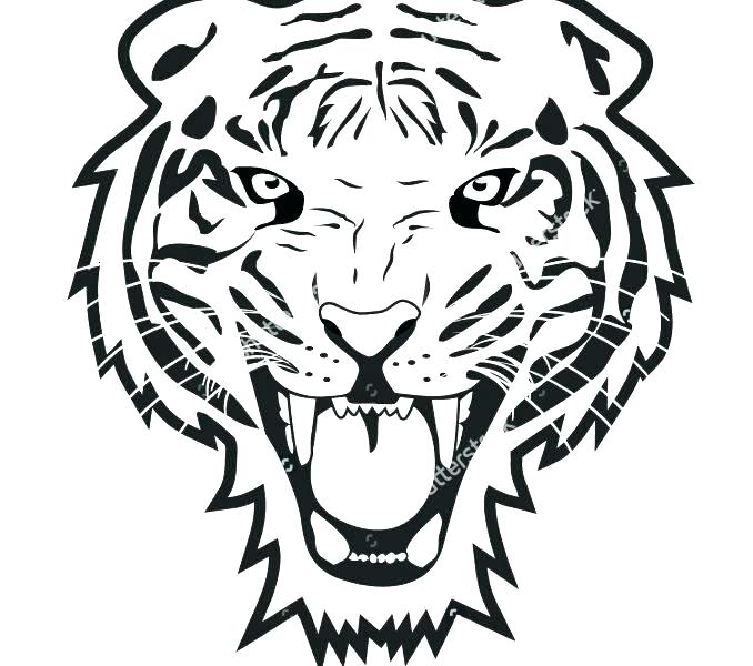 Tiger Face Outline Drawing at PaintingValley.com | Explore collection ...