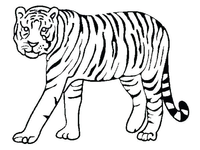 700x525 Collection Of Tiger Outline Drawing Download Them And Try To Solve - Tiger Face Outline Drawing