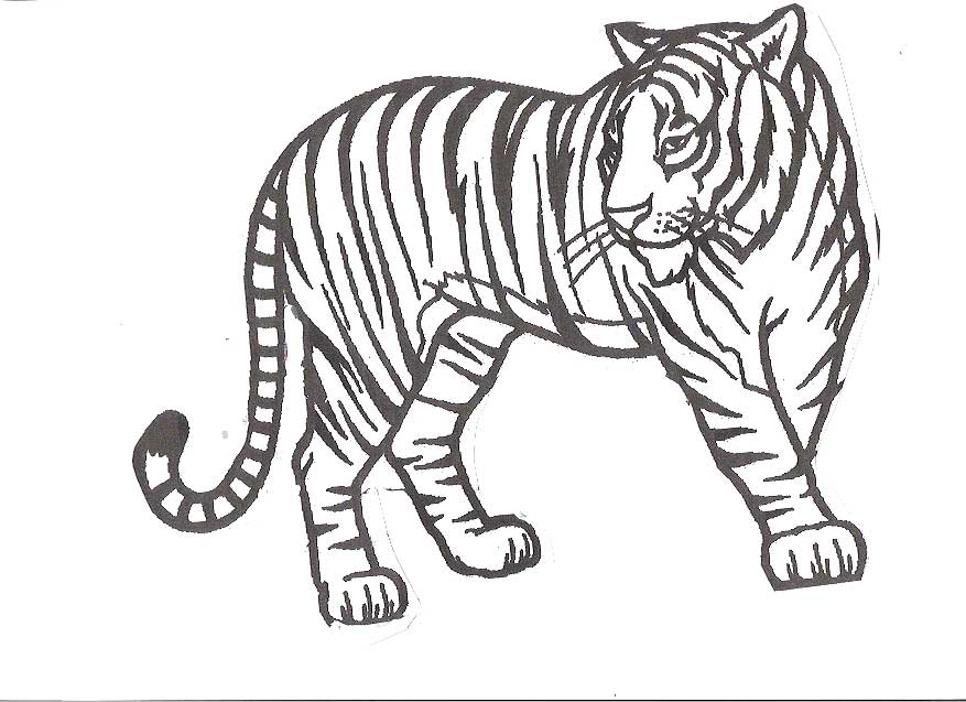 877x637 Cute Cartoon Tiger Coloring Outline Drawing - Tiger Face Outline Drawing