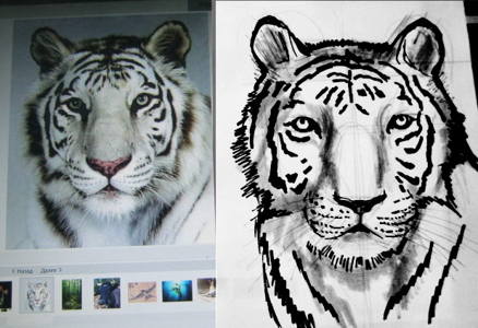 438x300 How To Draw A Tiger Face - Tiger Head Drawing
