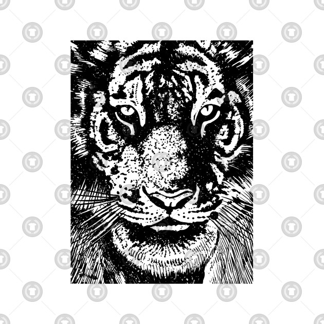 630x630 Stare Tiger Head - Tiger Head Drawing