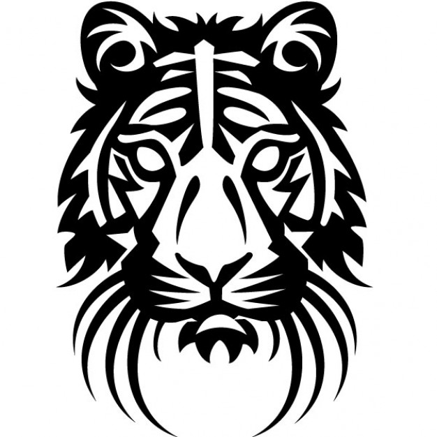 626x626 Tiger Head Drawing Vector Illustration Vector Free Download - Tiger Head Drawing