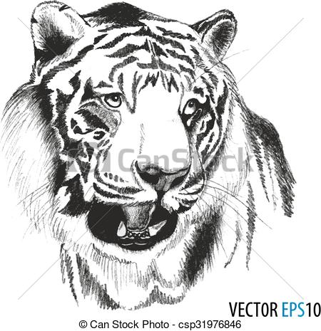 450x465 Tiger Head Hand Drawn, Original Artwork Tiger, Black Sketch - Tiger Head Drawing